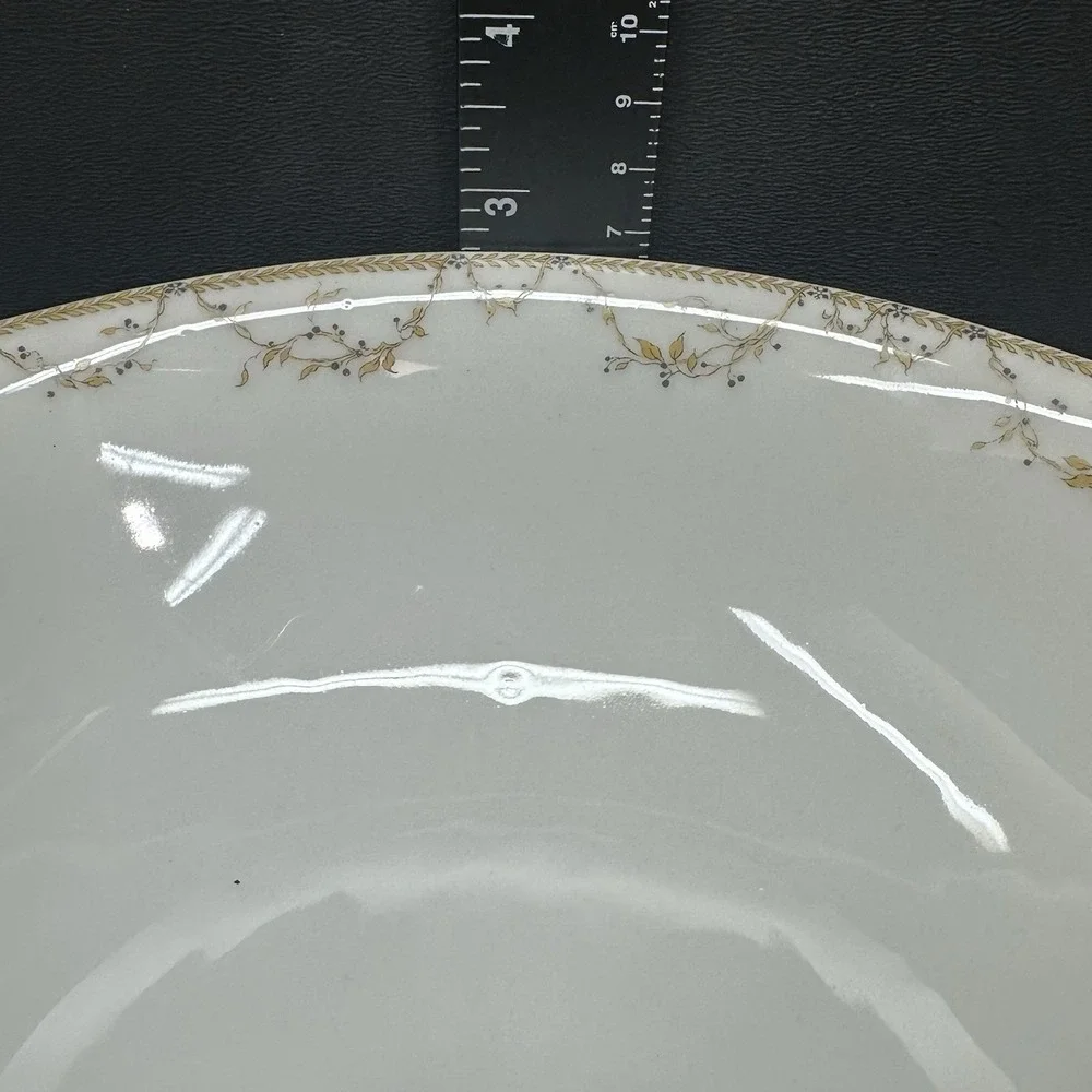 Haviland & Co. Limoges 9